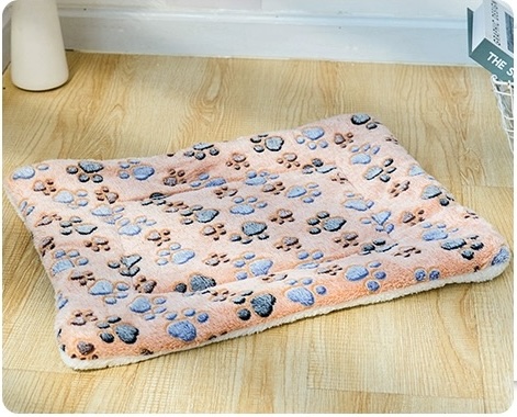 Soft Fleece Pet Blanket Genetique Cats Cattery and Best Breeder in Singapore